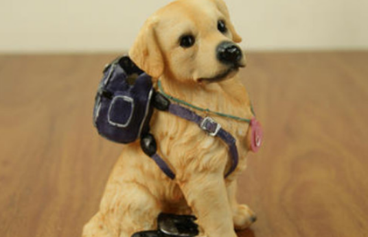 幼犬晚上一直叫要管吗 幼犬晚上一直叫要管吗