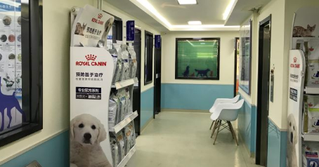 鲲鹏宠物医院在哪里