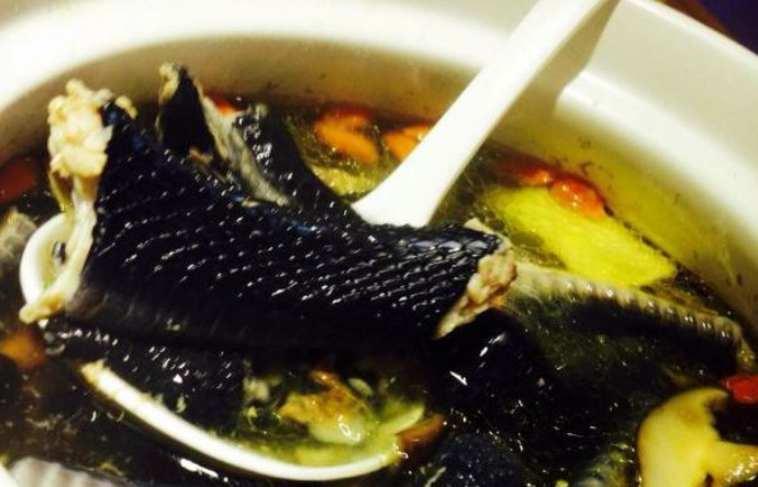 蛇汤放什么食材煲汤好