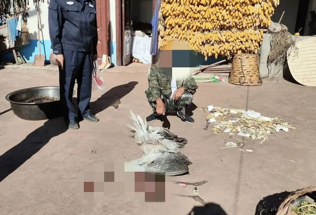 男子杀害“高原神鸟”黑颈鹤烹食被刑拘：系国家一级重点保护野生动物