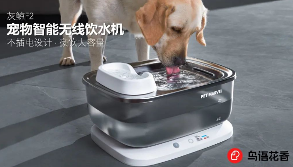 宠物智能用品品牌「鸟语花香」获近亿元A+轮融资,老股东继续追投| 宠物智能用品品牌「鸟语花香」获近亿元A+轮融资,老股东继续追投|