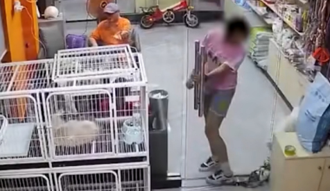 警惕!东莞女孩恶作剧,竟让可怜小猫付出生命 警惕!东莞女孩恶作剧,竟让可怜小猫付出生命