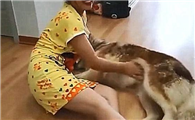 一女的和狗一起送到医院是真的吗