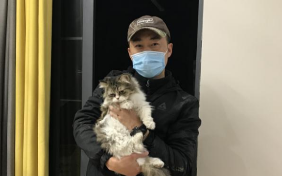 白天找狗，夜里找猫：他和16名90后做起了职业寻宠人