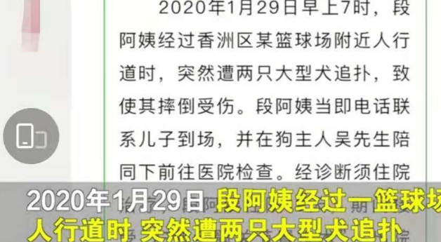 遛狗不拴绳致人九级伤残被判赔30万”