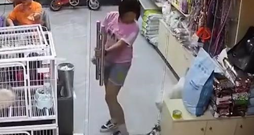 小女孩因为好奇,用玻璃门“杀”死一只小猫 小女孩因为好奇,用玻璃门“杀”死一只小猫