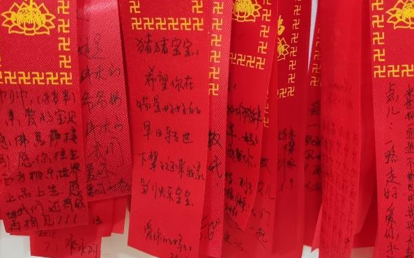 宠物殡葬馆里的哀伤宠主：有人为患病宠物选择安乐死，有人连续哭泣十个小时