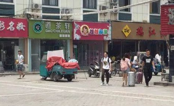 丈夫摔死泰迪遭爱狗人士网络暴力威胁 妻子割腕赔命