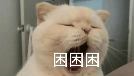 在猫咪眼里,主人让它“上床”睡觉,代表着什么呢? 在猫咪眼里,主人让它“上床”睡觉,代表着什么呢?
