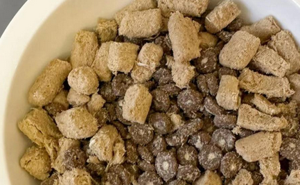 种草or避雷？毛星球大鹅猫粮实测分享