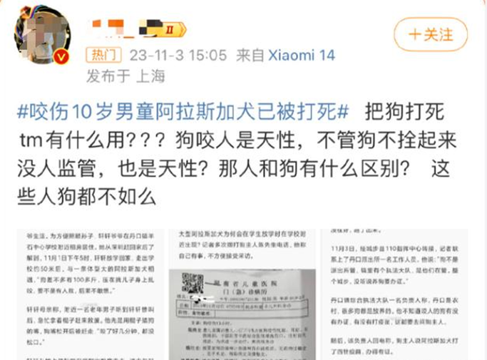 咬伤10岁男孩，阿拉斯加犬被打死，爱狗人士不满：狗咬人是天性