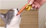 小猫能吃火腿肠吗