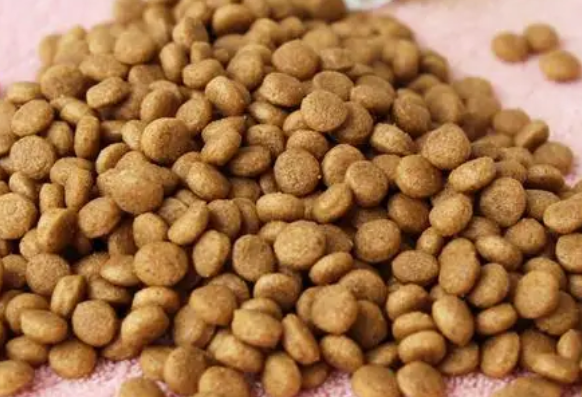 “毛孩子”食品安全调查：宠物粮配料里面有啥说不清