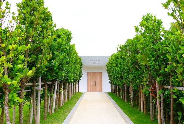 宠物去世后有哪几种殡葬方式？何种方式更受宠主青睐？