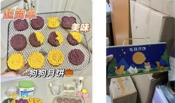 宠物蛋糕宠物月饼受热捧，价格还不便宜……11