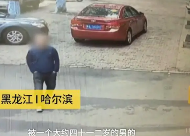 连二哈都偷？哈士奇独自遛弯，不料被出租车司机“顺手牵狗”