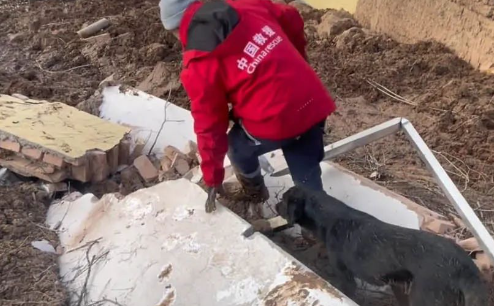 甘肃地震突如其来，我带搜救犬到灾区救援
