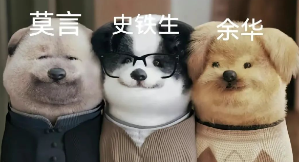 柯基拼命拉着坐轮椅的好朋狗上坡，网友泪目：是余华带着铁生去踢球吗