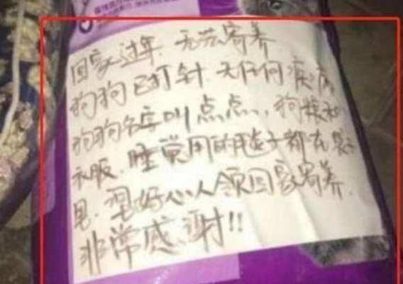 泰迪被遗弃街头, 坐在路口等了主人一天一夜, 旁边的纸条引人落泪 泰迪被遗弃街头, 坐在路口等了主人一天一夜, 旁边的纸条引人落泪