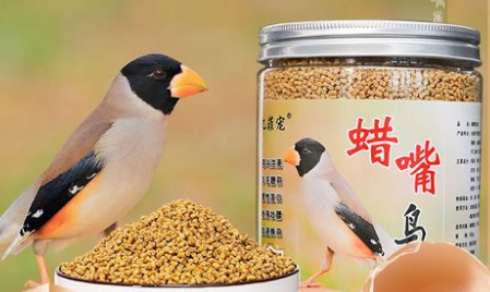 蜡嘴鸟饲料怎么配比 蜡嘴鸟饲料怎么配比