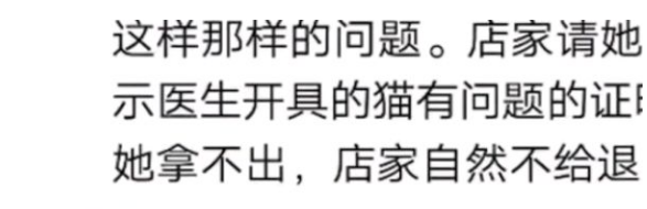女子退猫被拒将猫摔死,宠物店:家里的公猫不喜欢 女子退猫被拒将猫摔死,宠物店:家里的公猫不喜欢