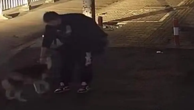 哈士奇自行解开绳锁“离家出走”还上了陌生男子的车,急坏主人 哈士奇自行解开绳锁“离家出走”还上了陌生男子的车,急坏主人