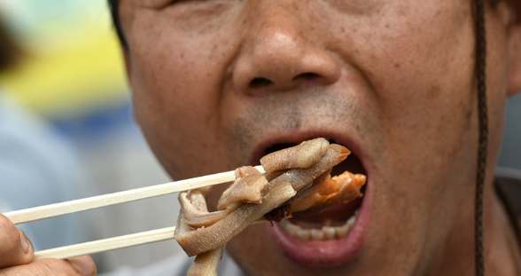韩国人也爱吃狗肉,一年吃掉150万只狗,为何爱狗人士束手无策? 韩国人也爱吃狗肉,一年吃掉150万只狗,为何爱狗人士束手无策?
