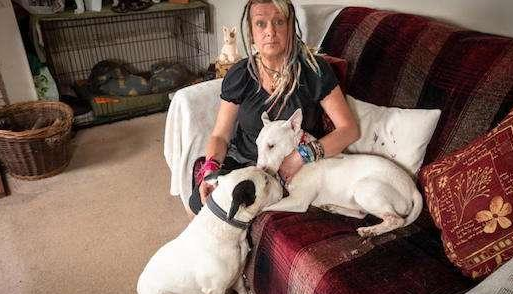 少女爱狗犯下大错 与狗发生性关系被判十年监禁