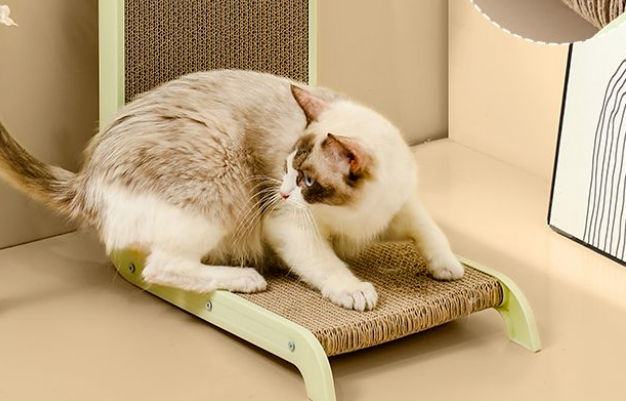 D-cat多可特猫抓板：守护你的沙发，告别猫爪的“小破坏”