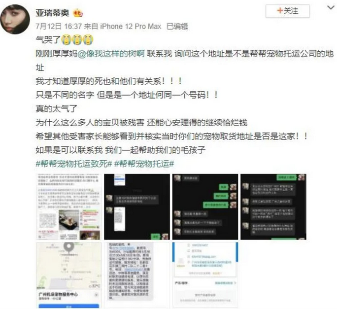 金毛犬Siri的致命托运 金毛犬Siri的致命托运