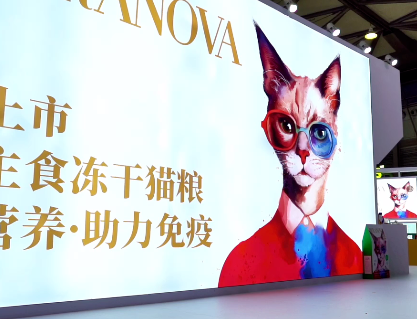 亚宠探展,能提高免疫力的朗诺主食猫冻干 亚宠探展,能提高免疫力的朗诺主食猫冻干