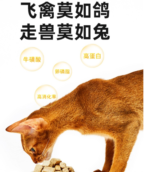 爱立方冻干:营养丰富,猫咪的新选择 爱立方冻干:营养丰富,猫咪的新选择