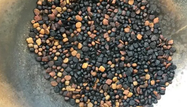 外出5天，我家猫在家给自己做饭......
