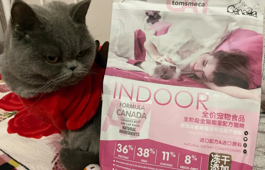 汤恩贝猫粮系列怎么选?汤恩贝小恶魔冻干猫粮怎么样 汤恩贝猫粮系列怎么选?汤恩贝小恶魔冻干猫粮怎么样