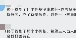 洗衣机小柯基找到了!但处理结果…… 洗衣机小柯基找到了!但处理结果……