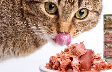 Boopucat波普猫猫罐头值得买吗?一个字:值! Boopucat波普猫猫罐头值得买吗?一个字:值!