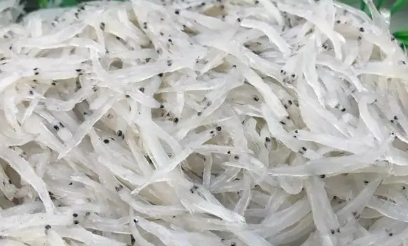 银鱼的食用禁忌