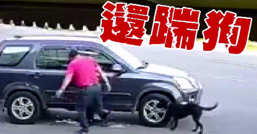 男子开车3度碾压小黑狗，下车还再补踹一脚！