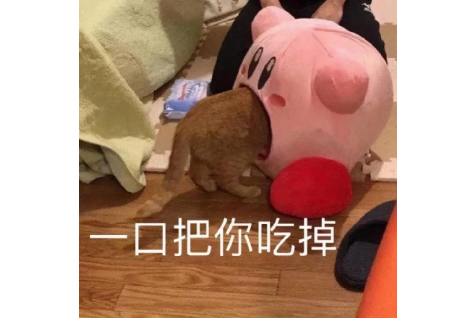 狗子被猫摸一下像触电?网友:像极我那死鬼老公 狗子被猫摸一下像触电?网友:像极我那死鬼老公