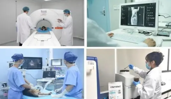 赣州大健康宠物科学研究院：以科技创新引领宠物产业高质量发展