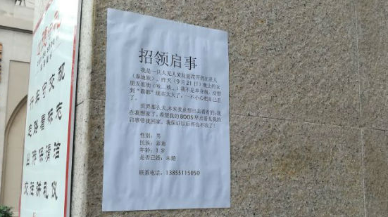 男子捡到呆萌泰迪狗 贴出俏皮招领启事等认领 男子捡到呆萌泰迪狗 贴出俏皮招领启事等认领