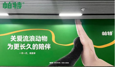 帕特为爱击掌,关爱流浪动物 帕特为爱击掌,关爱流浪动物