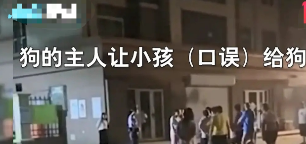 女子认为狗惊吓受到委屈，要求小孩给狗道歉，这结果合理吗