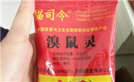 用什么毒死猫最方便