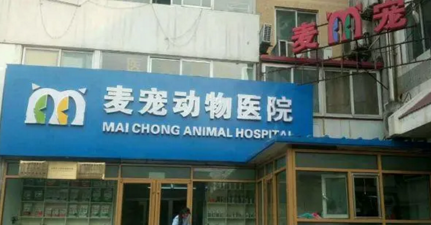 麦宠动物医院的董事长