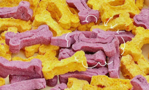 康康食品:我国宠物食品行业发展的建议 康康食品:我国宠物食品行业发展的建议