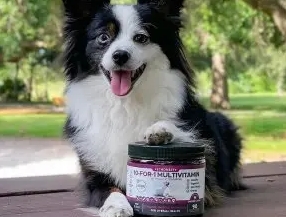 Pet Honesty宠物洗发水有用吗 Pet Honesty宠物洗发水有用吗