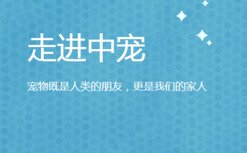 市场规模或将达千亿元 国产宠物食品企业踏上崛起之路1