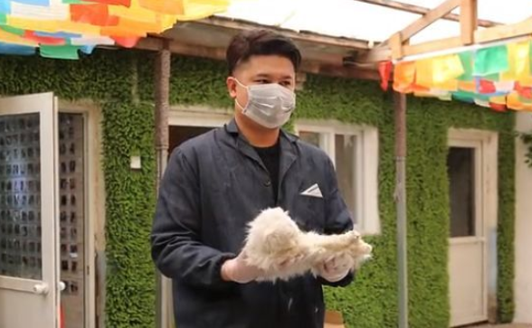 宠物殡葬行业发展现状和发展趋势如何?有哪些政策需要遵守? 宠物殡葬行业发展现状和发展趋势如何?有哪些政策需要遵守?