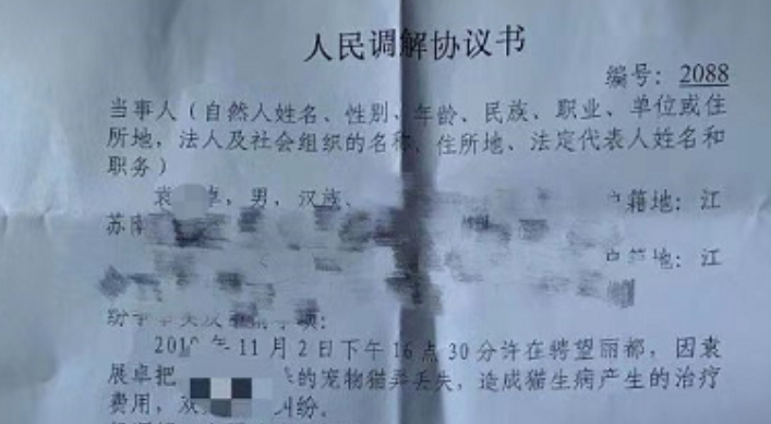 南京晓庄学院学生被指虐猫警方介入，回应：代养猫弄丢后生病